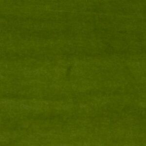 Stoff Bio BW Nicky Cedar Green