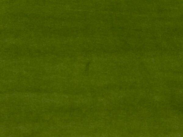 Stoff Bio BW Nicky Cedar Green