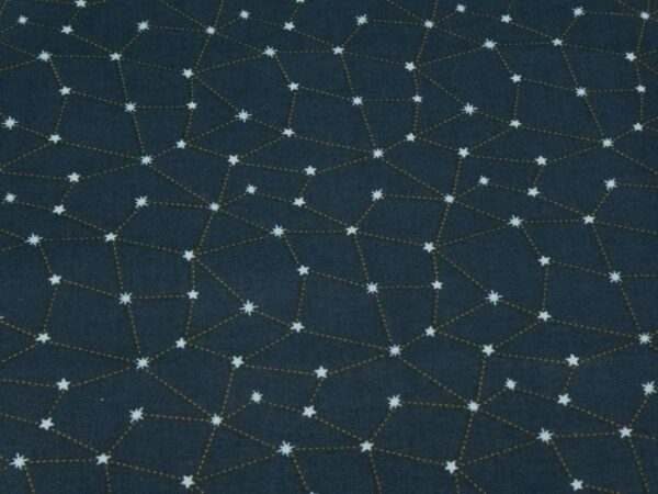 Stoff Baumwolle Savanna-Starry Night
