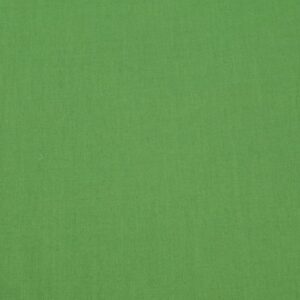 Stoff BW Voile Japan Online lime green