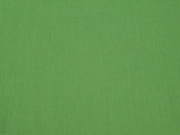 Stoff BW Voile Japan Online lime green