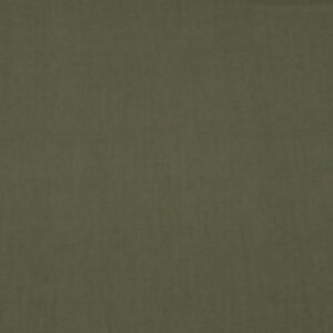 Stoff BW Voile Japan Grape Leaf green
