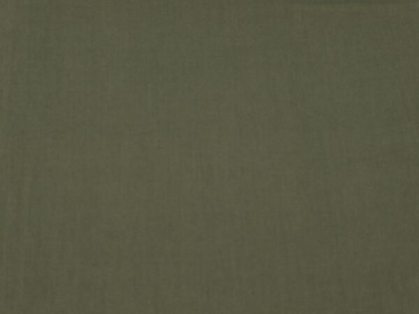 Stoff BW Voile Japan Grape Leaf green