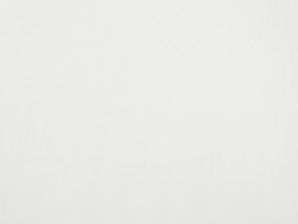 Stoff Seide Marocain gefärbt creme white