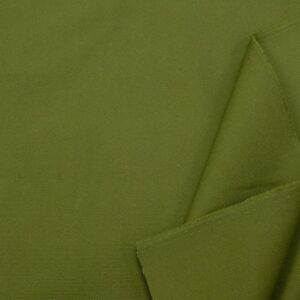 Stoff Big Sur Canvas Moos green