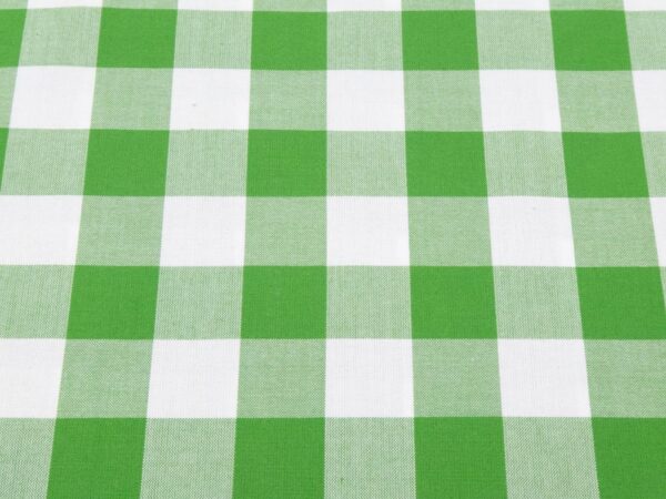 Stoff Carolina Gingham kelly-white