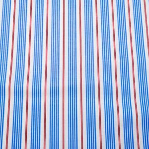 Stoff Best of Sarah Jane Racer Stripe blau