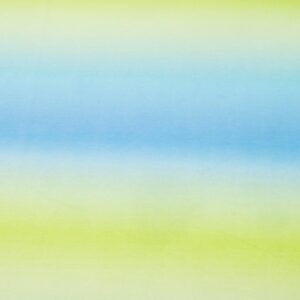 Stoffe BW Jersey Rainbow grün-blau