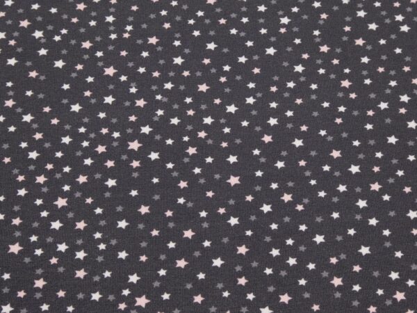 Stoff BW Jersey Fairy Stars dunkelgrau