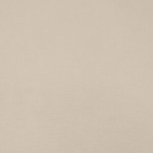 Stoff Romanitjersey Sommer 2 beige