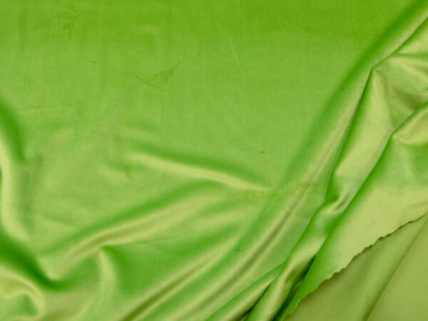 Stoff Samt Parrot Green