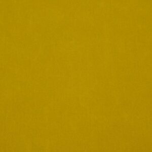 Stoff Dry Organic Cotton Oilskin - Lime