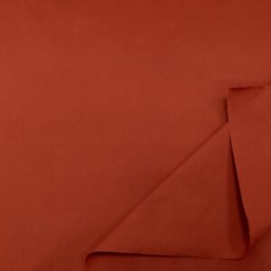 Stoff Dry Organic Cotton Oilskin Rust picante