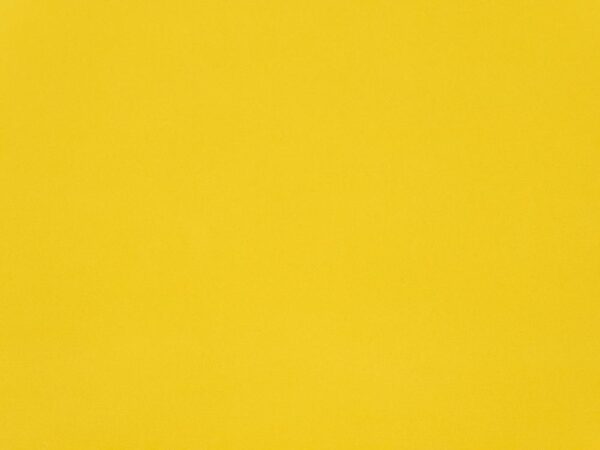 Stoff Dry Organic Cotton Oilskin - Yellow