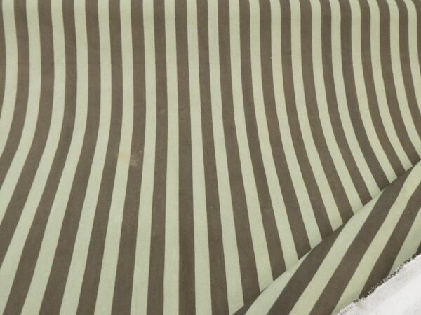 Stoff Indian Cotton Canvas-Moss & Pine Wide Stripe – Bild 4