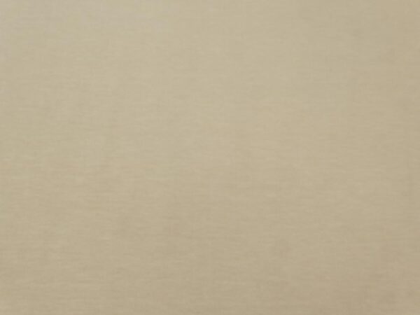 Stoff Jersey uni Khaki hell