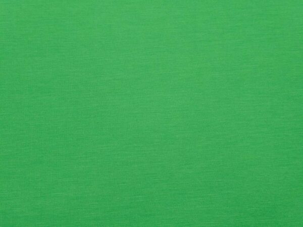 Stoff Romanitjersey Sommer dünn Fern green