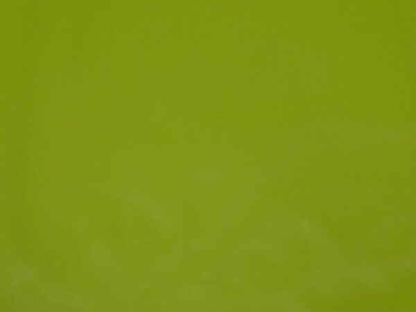 Stoff Kunstleder Golden Cypress green