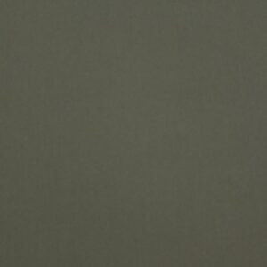 Sto-Etaproof 200 BIO Moss Green