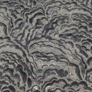 Stoff Jacquard Lumino noir