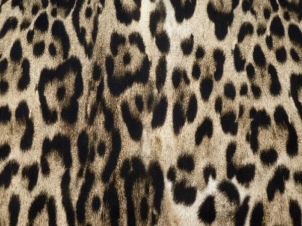 Stoff el. Baumwolljacquard LEO