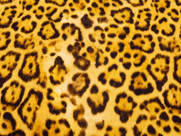 Stoff Wolljacquard el. Leo gelborangebraun