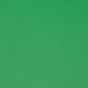 Stoff Nappa Lederimitat RS Viskose Green Bee