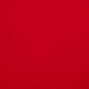 Stoff Romanitjersey GOJI BERRY rot - Ökotex 100