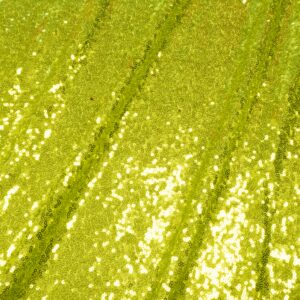 Stoff Pailletten klein lime green