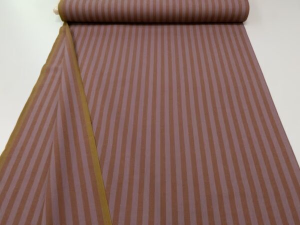 Sun Stripes Fig – Bild 3