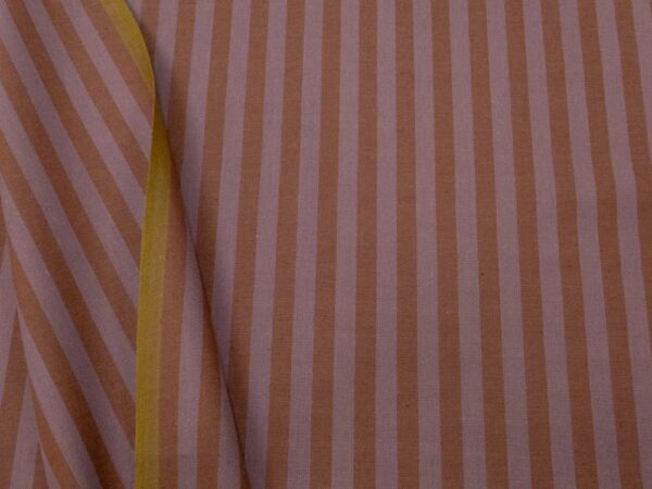 Sun Stripes Fig
