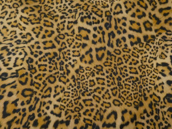 Denim Ganache light Leo