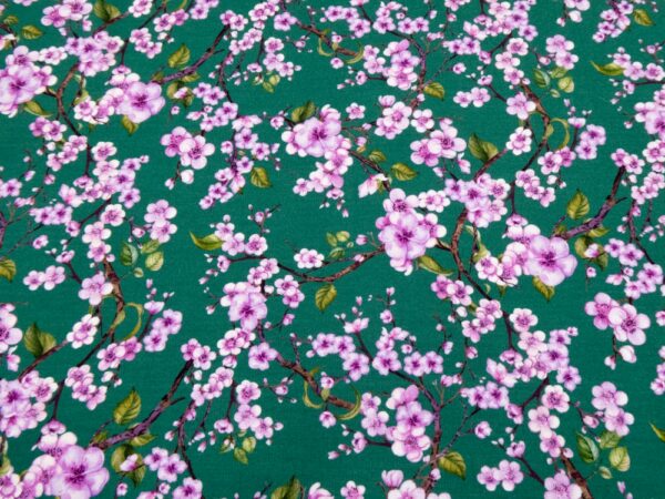 Romanitjersey Fico d India Kirschblüten