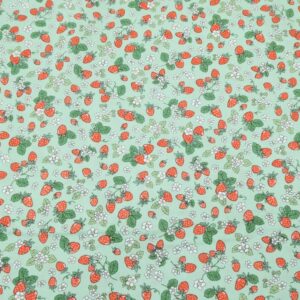 BW Erdbeeren rot auf grün