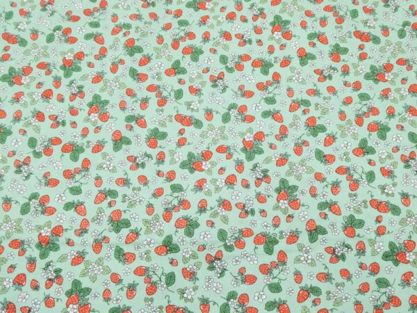 BW Erdbeeren rot auf grün
