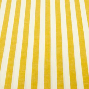 Co/LI-Stripe-Sunshine