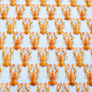 BW Jersey Strandspaziergang mit Hummer