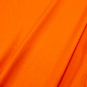 Sweat French heavy Terry Bill Boa orange