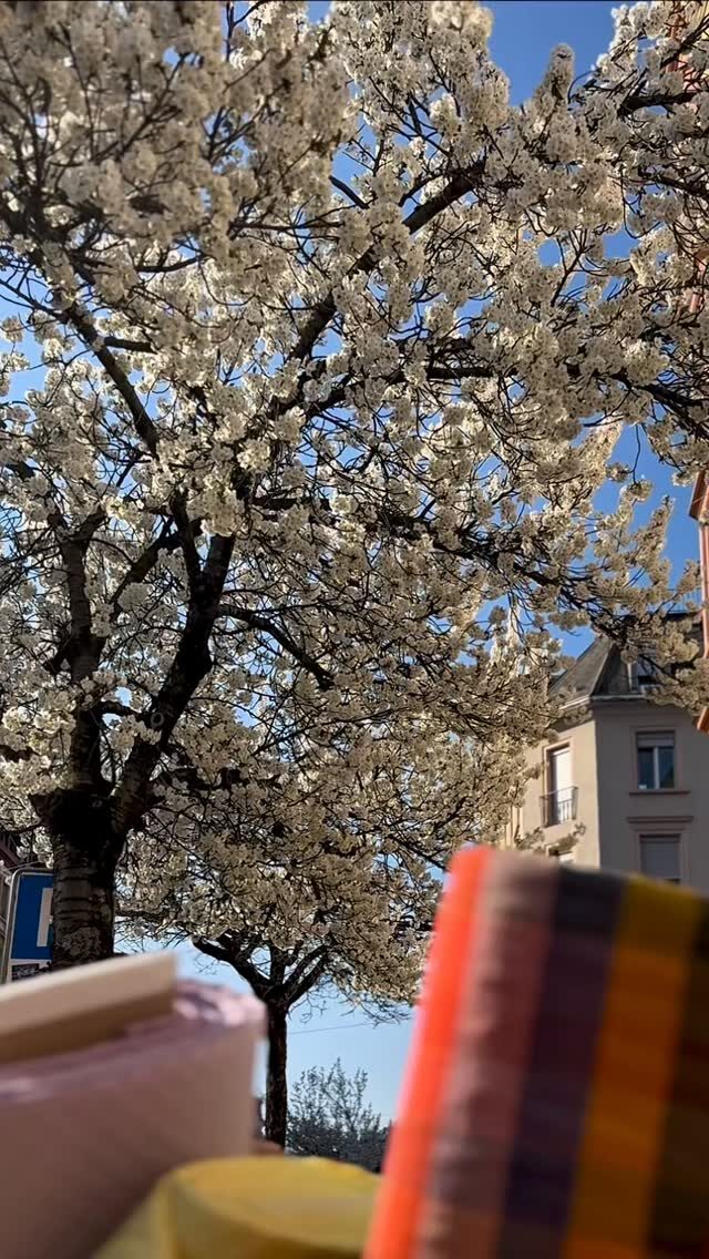 Instagram post from mademoiselle_pompon. This post is in position 1.