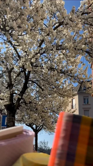 Instagram post from mademoiselle_pompon. This post is in position 3.