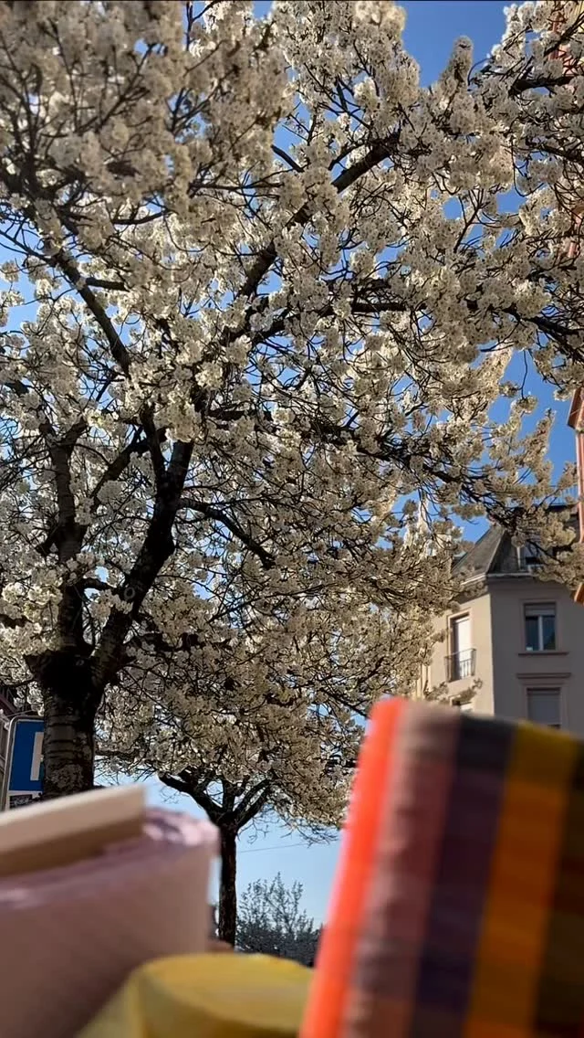 Instagram post from mademoiselle_pompon. This post is in position 2.